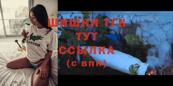 стаф Белокуриха