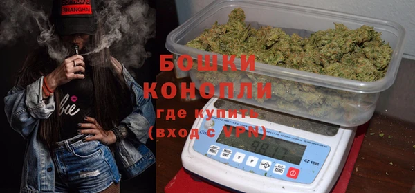 стаф Белокуриха
