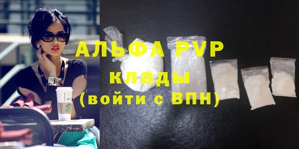 стаф Белокуриха